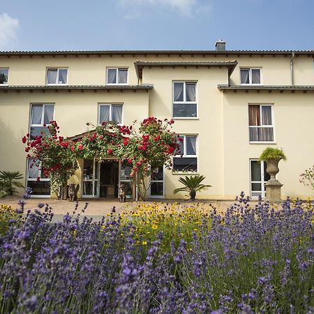 Mediterran Hotel Juwel Karlstein am Main Exteriér fotografie